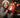Christmas Giveaway 2024