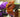 Interview with [ iDs ] – A LEGO Bionicle Lover