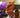 Interview with [ iDs ] – A LEGO Bionicle Lover