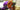 Interview with [ iDs ] – A LEGO Bionicle Lover