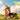 Rotate Windmill Farm Building Set with Light 40201 | 1310+ PCS
