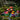 12 in 1 Mushroom Building Set 10004 | 1060+ PCS