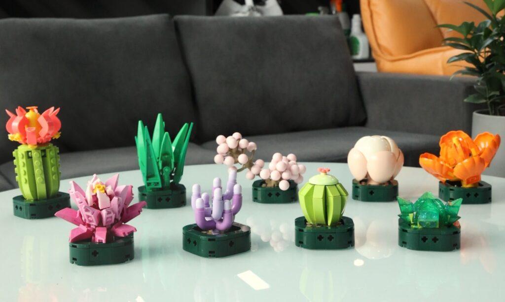 JMBricklayer JMB Mother's Day Gift Guide-Succulent Flower 20113