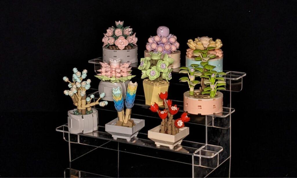 JMBricklayer JMB Mother's Day Gift Guide-Succulent set 20104